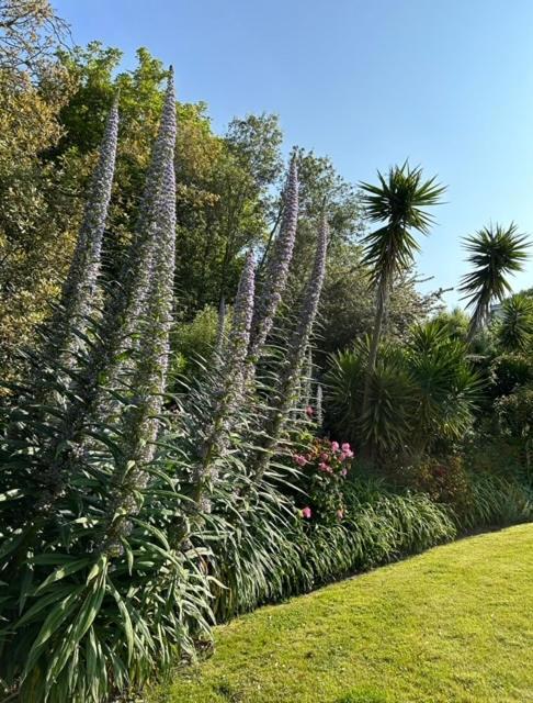 Westhill Country Hotel Saint Helier Jersey Buitenkant foto